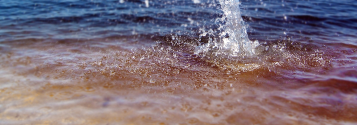 fishing1-lake-water.jpg fishing rates